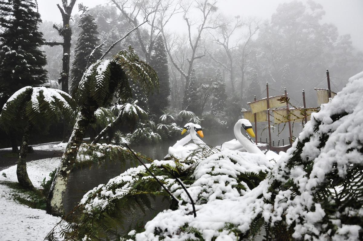 Casas em Gramado com características de sustentabilidade imobiliária, cercadas por vegetação exuberante e painéis solares no telhado.